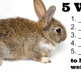 5 Ways NOT to Lose Weight